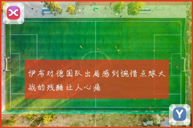 伊布对德国队出局感到惋惜点球大战的残酷让人心痛