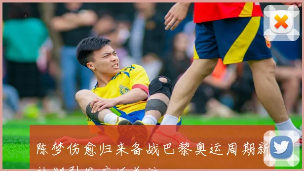 陈梦伤愈归来备战巴黎奥运周期新计划引发广泛关注